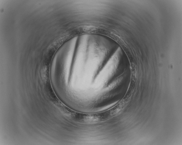 X0000072950319200608111632