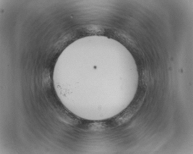 X0000072950320200608111632