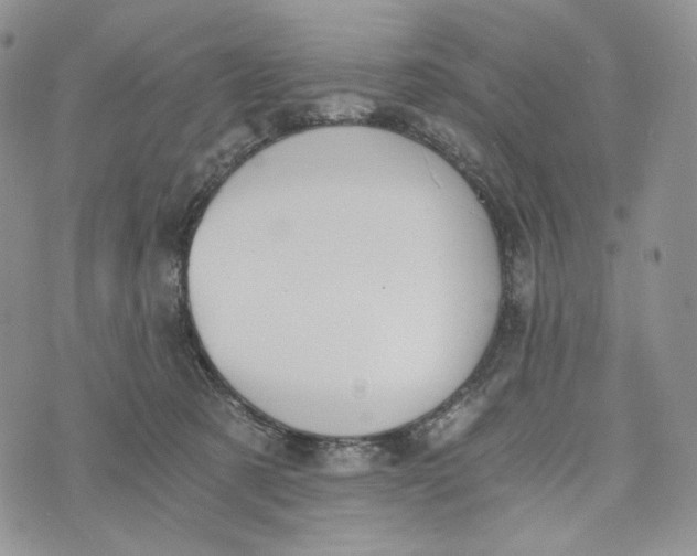 X0000072950321200608111632