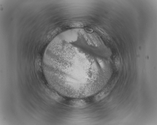 X0000072950322200608111632