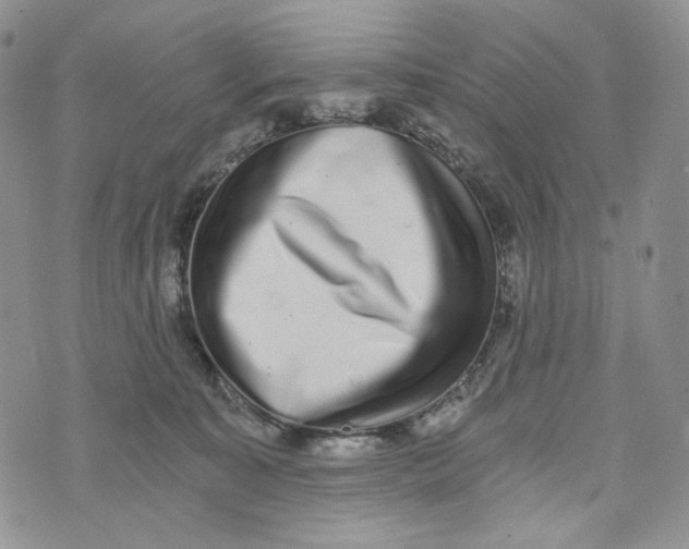 X0000072950323200608111632