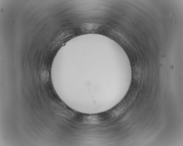 X0000072950324200608111632