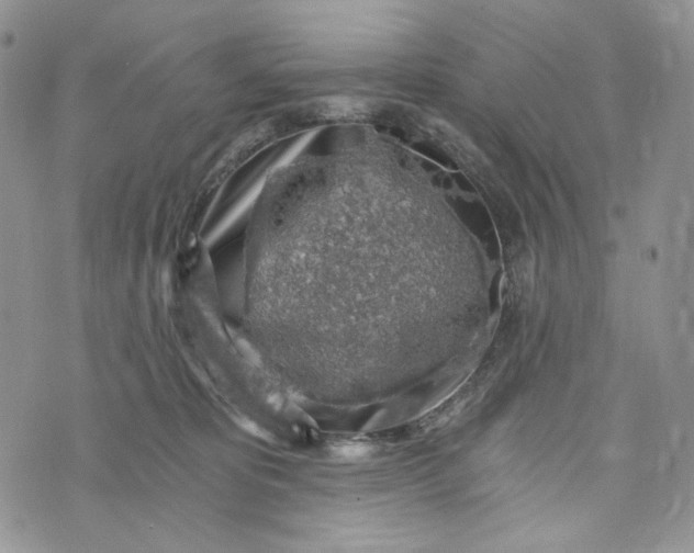 X0000072950325200608111632