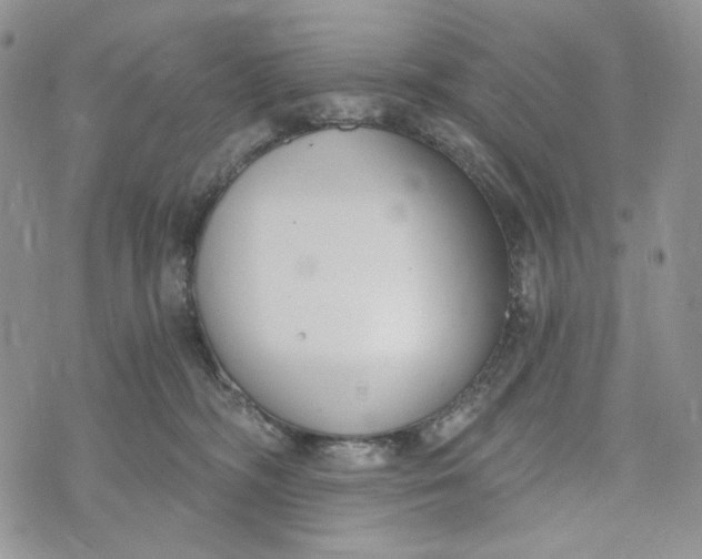 X0000072950326200608111632