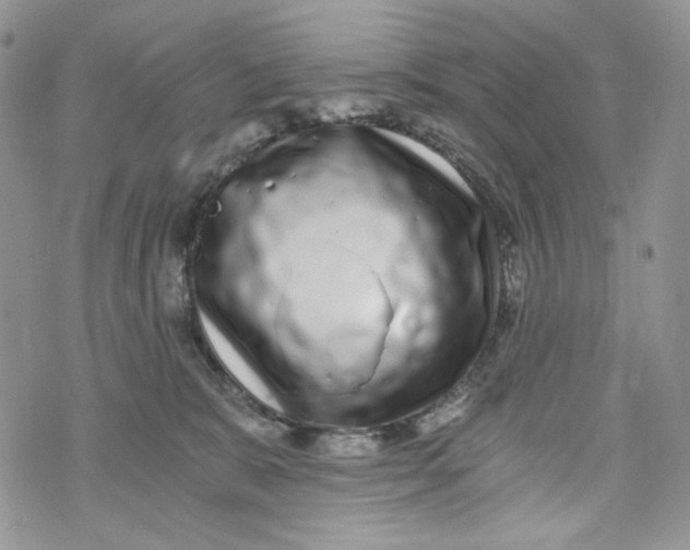 X0000072950327200608111632