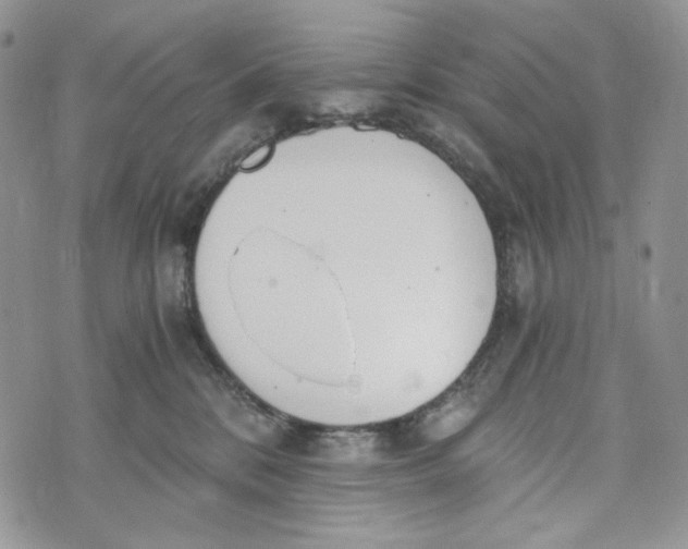 X0000072950328200608111632