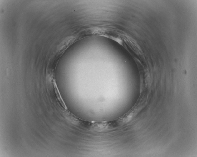 X0000072950329200608111632