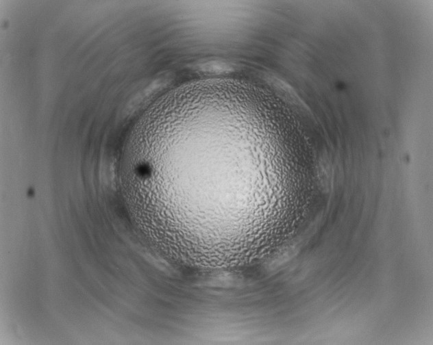 X0000072950330200608111632