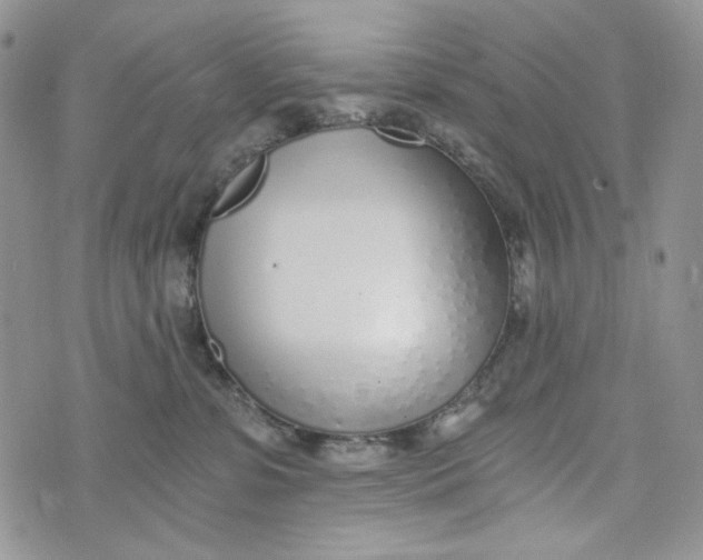 X0000072950331200608111632