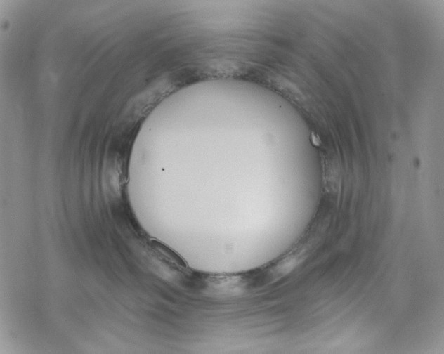 X0000072950334200608111632