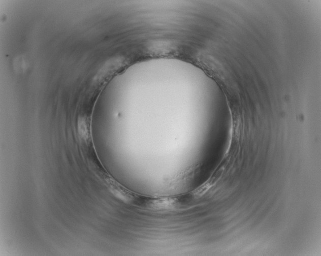 X0000072950335200608111632