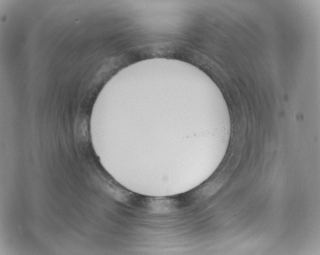 X0000072950336200608111632