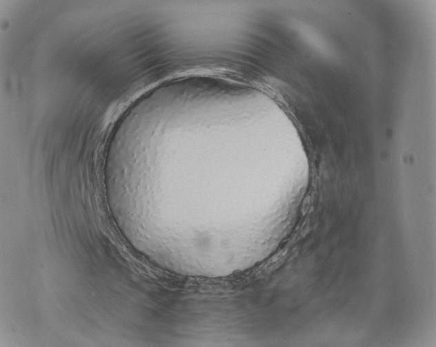 X0000072950337200608111631