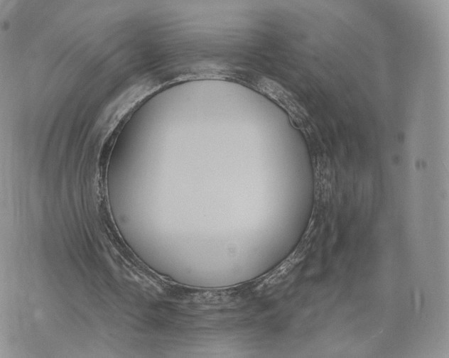 X0000072950338200608111631