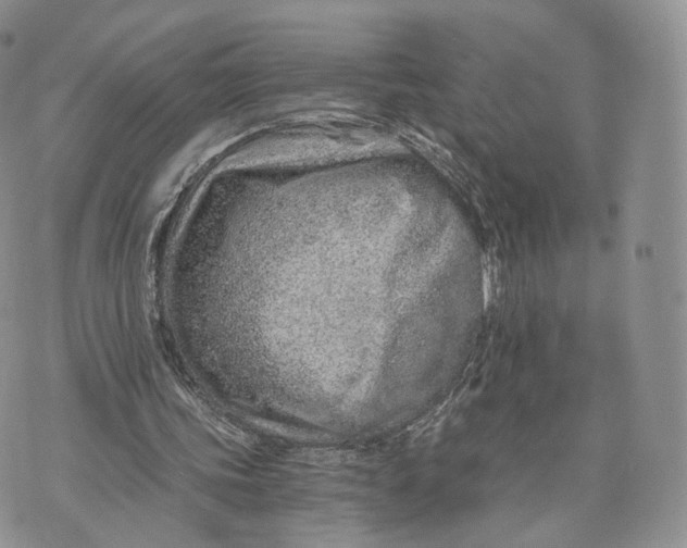 X0000072950339200608111631