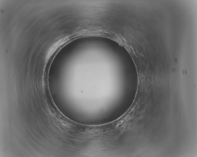 X0000072950340200608111631