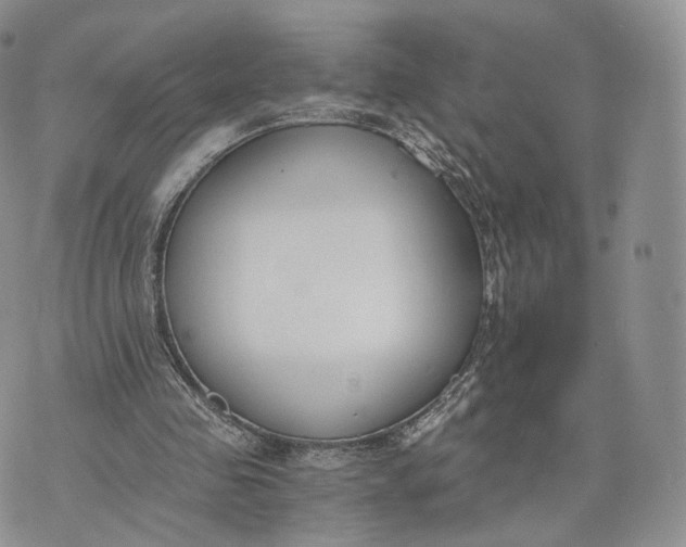 X0000072950341200608111631