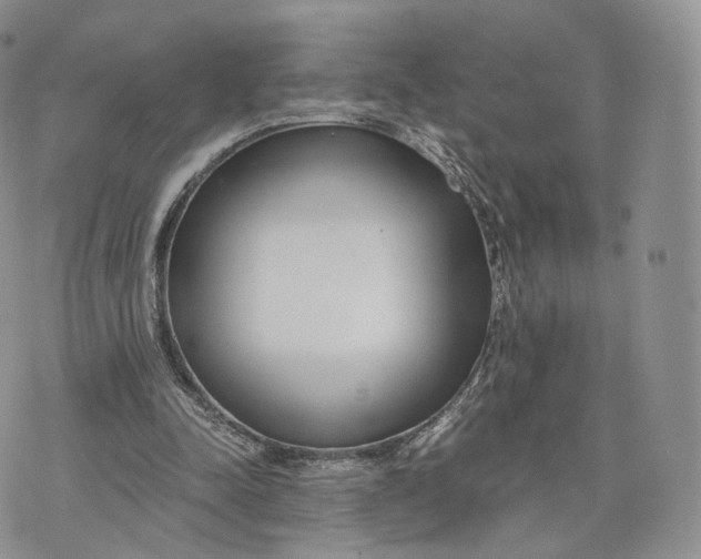 X0000072950342200608111631