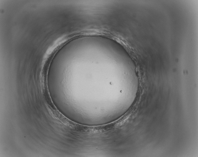 X0000072950343200608111631