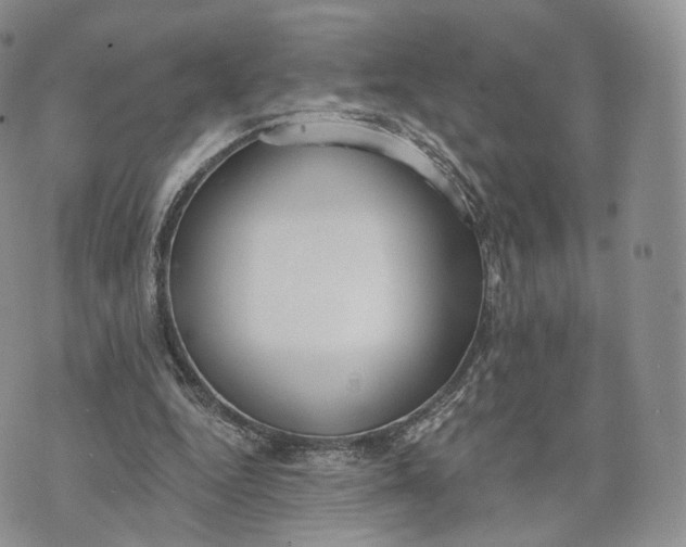 X0000072950344200608111631