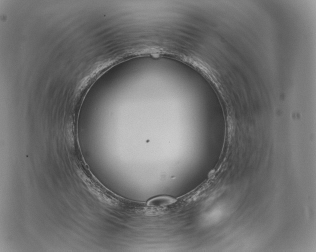 X0000072950345200608111631