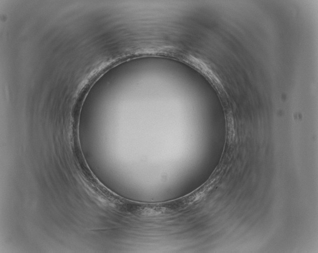 X0000072950346200608111631