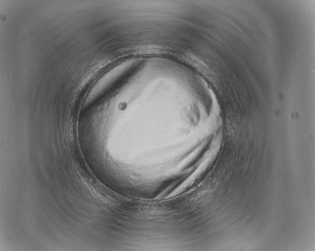 X0000072950347200608111631