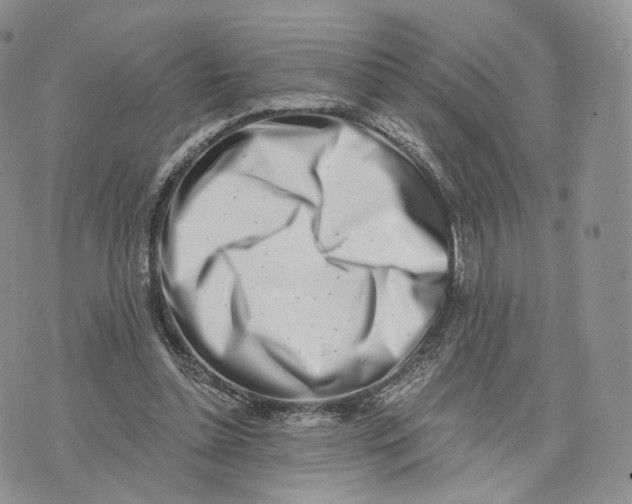 X0000072950348200608111631