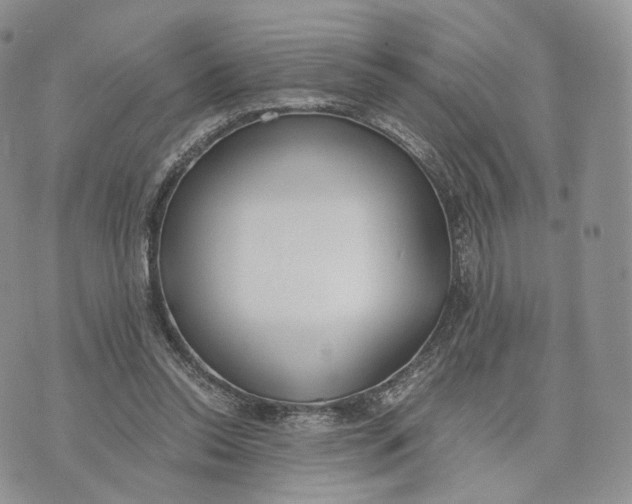 X0000072950350200608111631