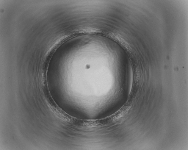 X0000072950351200608111631