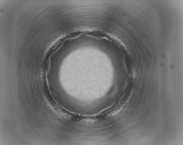 X0000072950352200608111631