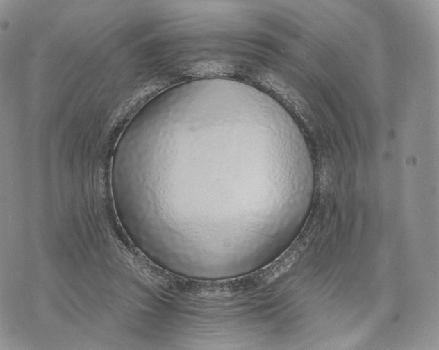 X0000072950353200608111631