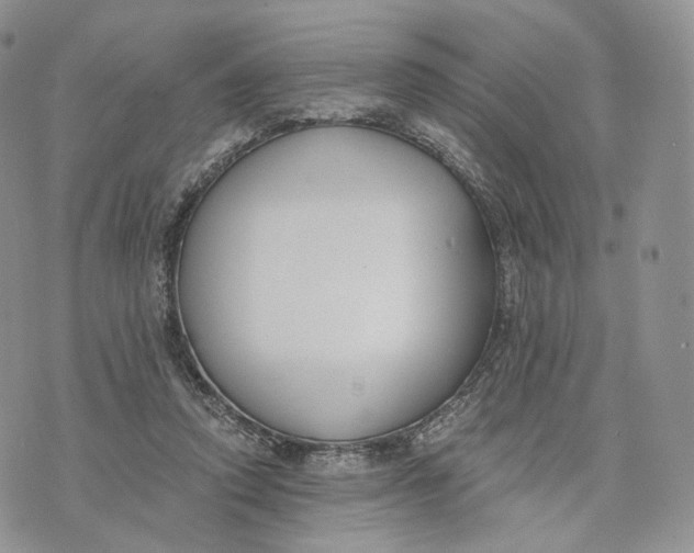 X0000072950354200608111631