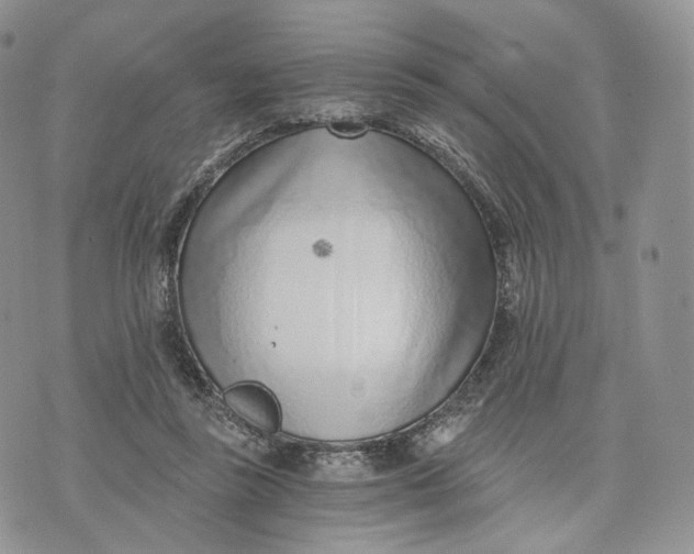 X0000072950355200608111631