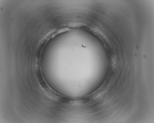 X0000072950356200608111631