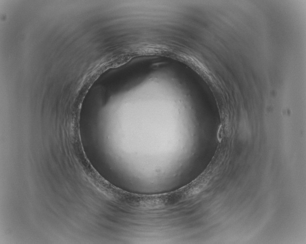 X0000072950357200608111631