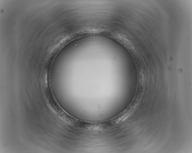 X0000072950358200608111631