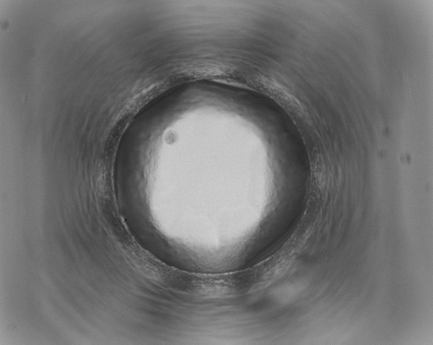 X0000072950359200608111631