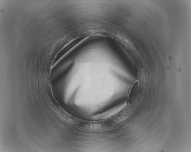 X0000072950361200608111631