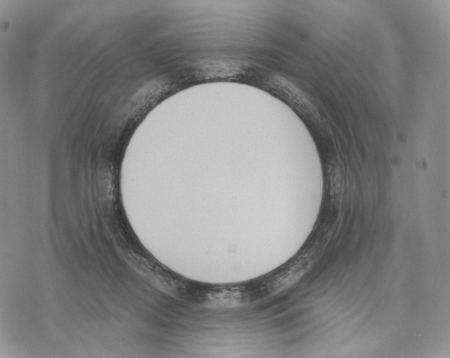 X0000072950362200608111631