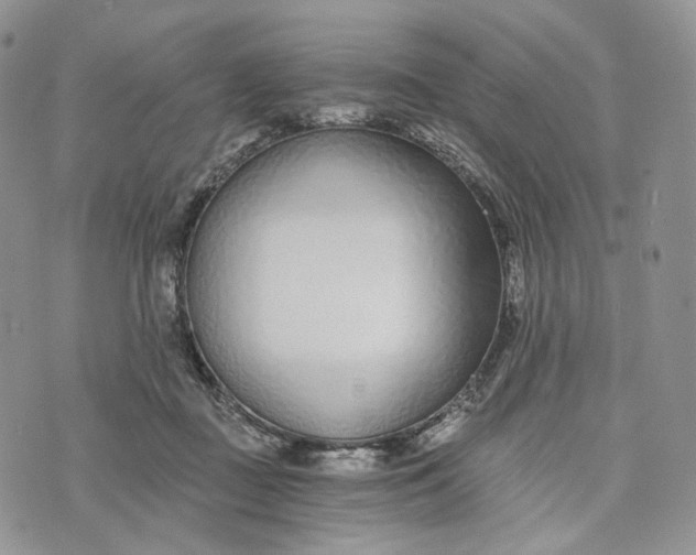 X0000072950363200608111631