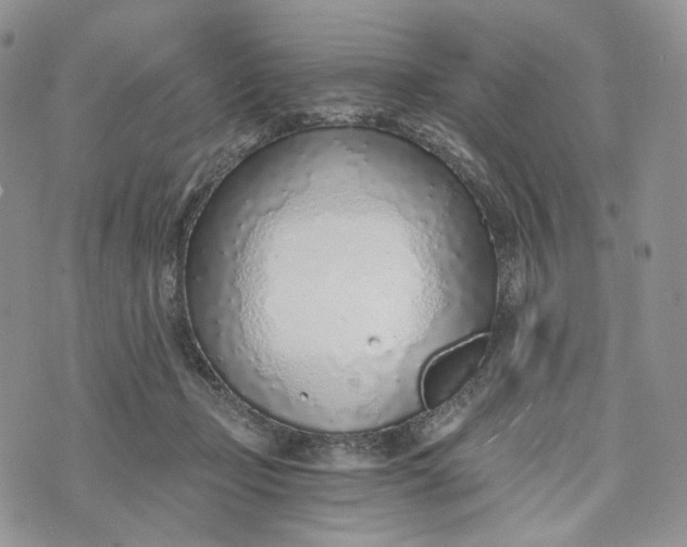 X0000072950365200608111631