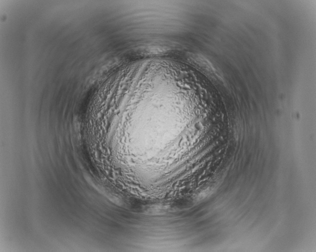 X0000072950366200608111631