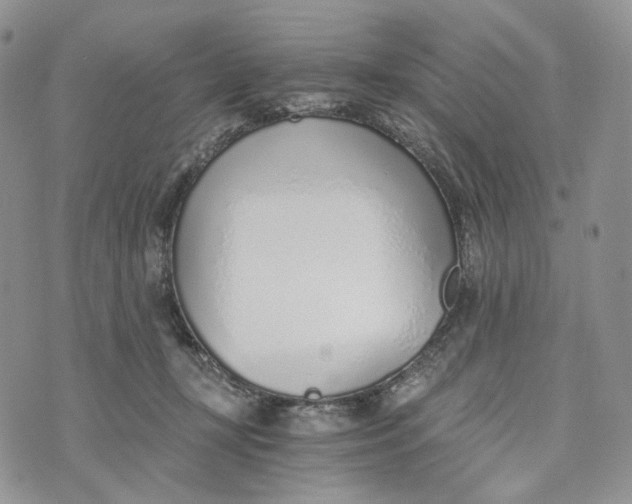 X0000072950367200608111631