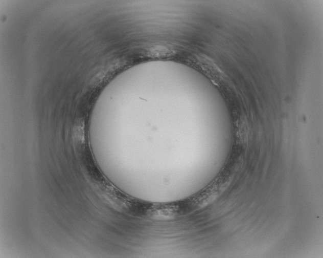 X0000072950368200608111631