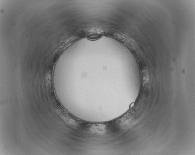 X0000072950369200608111632