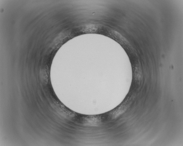 X0000072950370200608111632