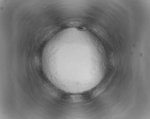 X0000072950371200608111632