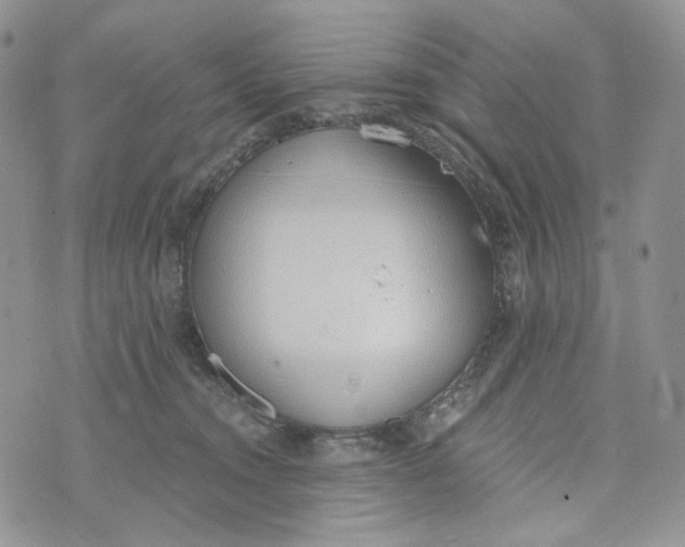 X0000072950372200608111632