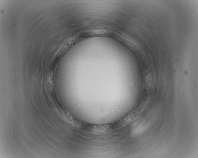 X0000072950373200608111632